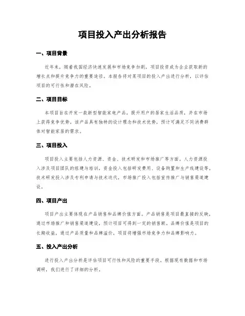 项目投入产出分析报告