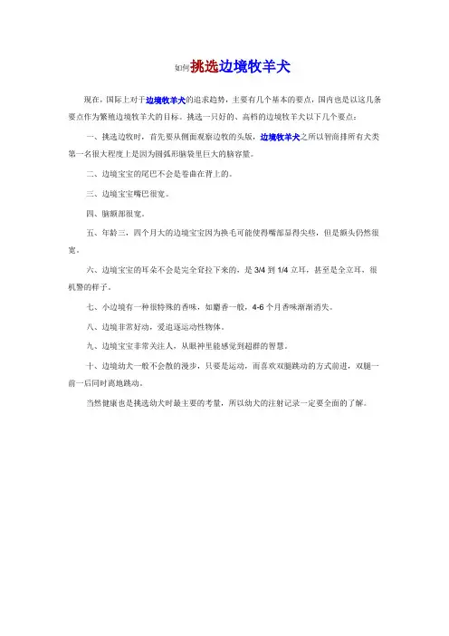 挑选边境牧羊犬要注意哪些问题