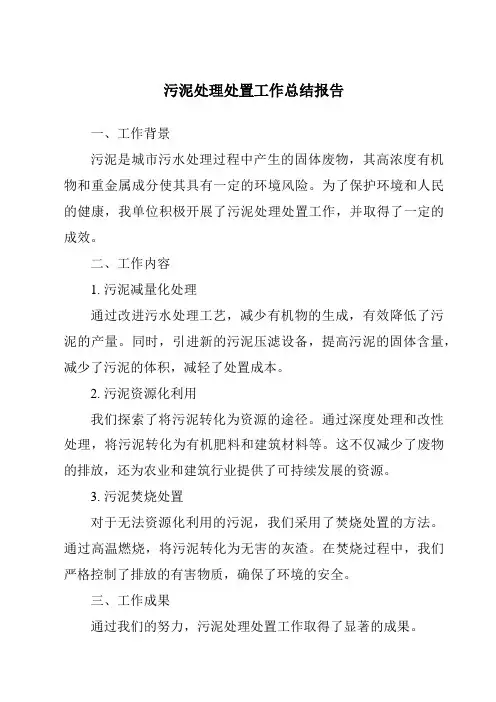污泥处理处置工作总结报告