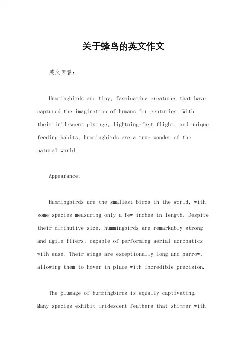 关于蜂鸟的英文作文