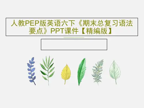 人教PEP版英语六下《期末总复习语法要点》PPT课件【精编版】共27页PPT
