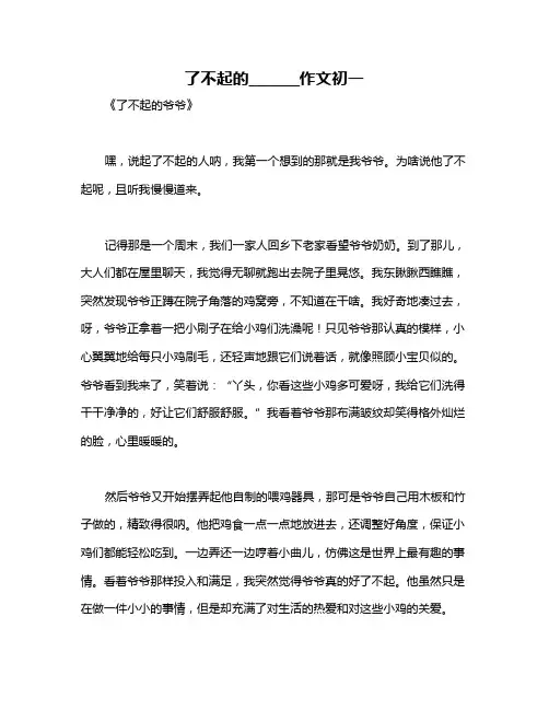 了不起的_______作文初一