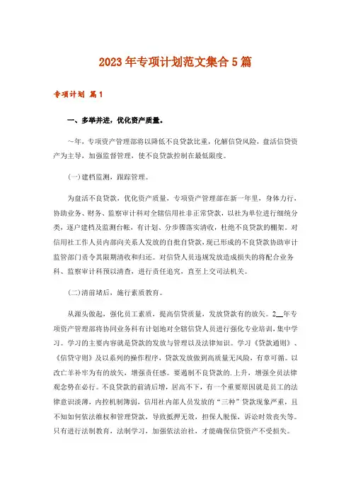 2023年专项计划范文集合5篇