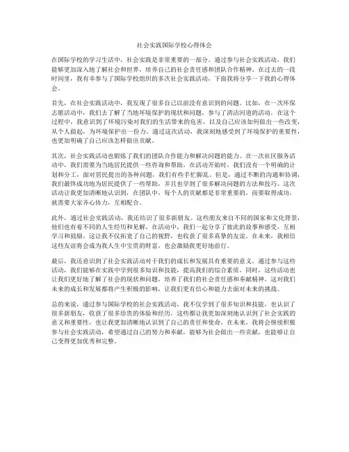 社会实践国际学校心得体会
