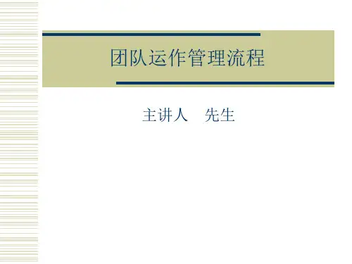 团队运作管理流程