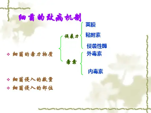 微生物学(药学专业)细菌的致病性与感染