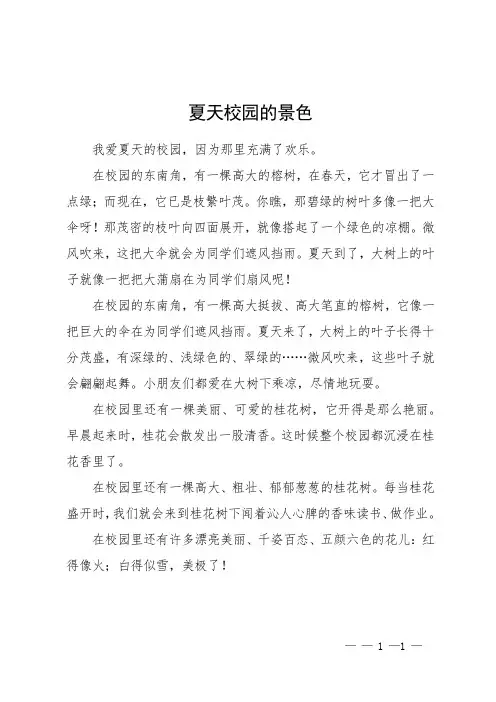 夏天校园的景色