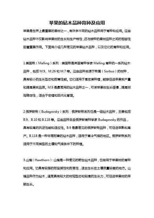 苹果的砧木品种育种及应用