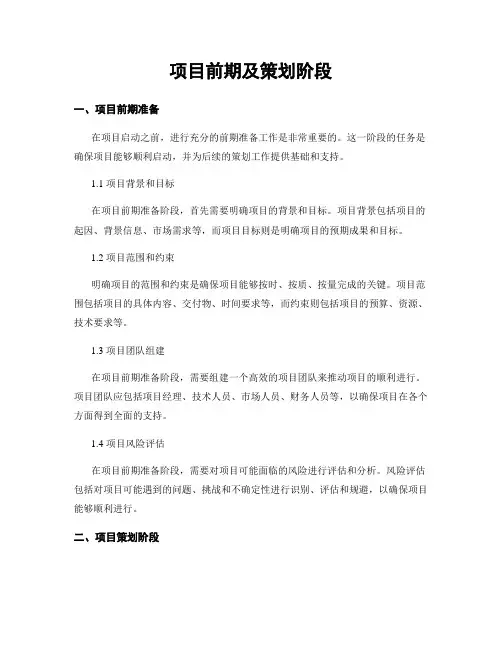 项目前期及策划阶段
