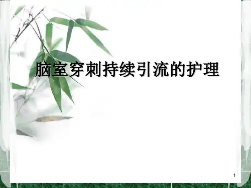 脑室引流管的护理_幻灯片PPT课件