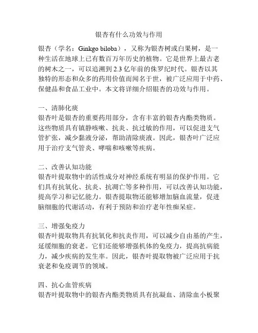 银杏有什么功效与作用