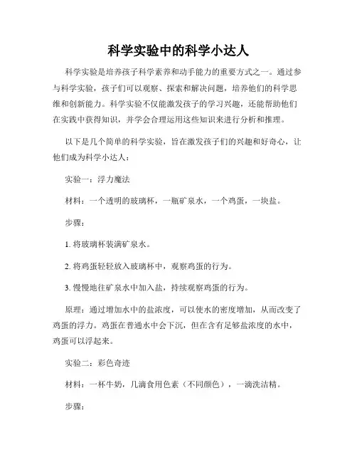 科学实验中的科学小达人