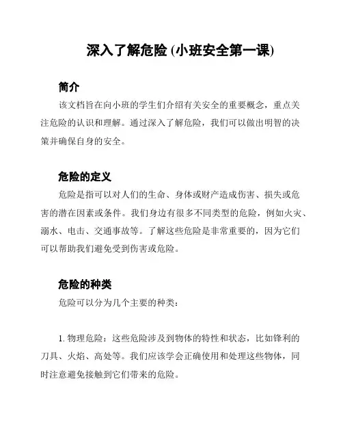 深入了解危险 (小班安全第一课)