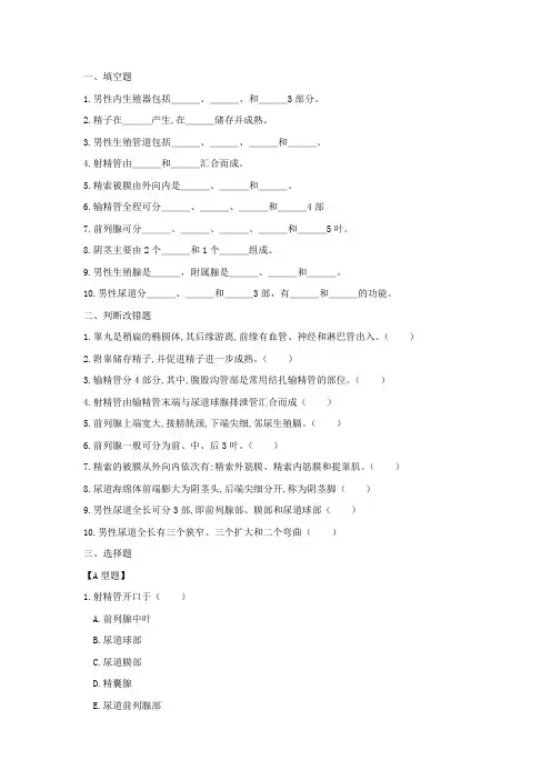 第五章 人体解剖学男性生殖系统练习题及答案