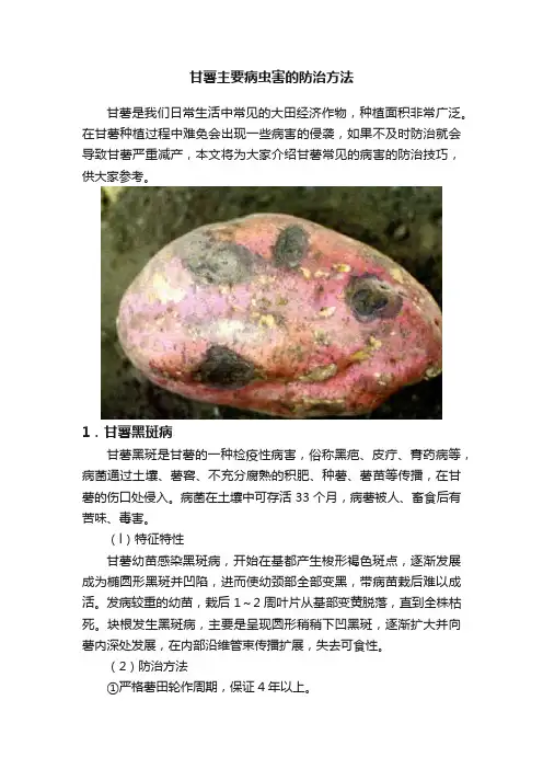 甘薯主要病虫害的防治方法