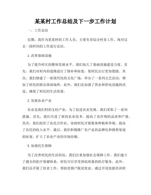 某某村工作总结及下一步工作计划