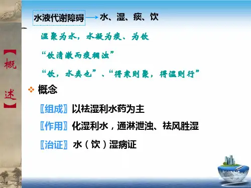 祛湿中成药PPT课件