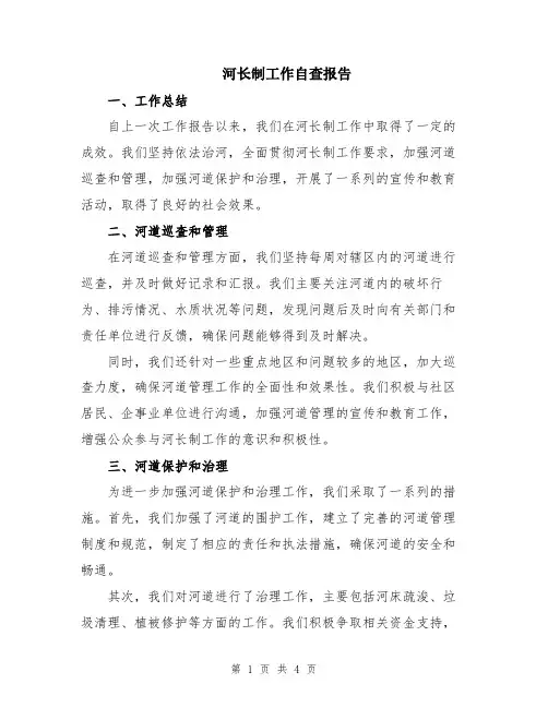 河长制工作自查报告
