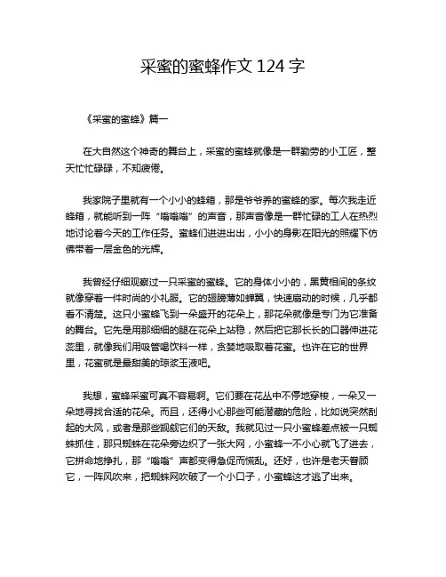 采蜜的蜜蜂作文124字
