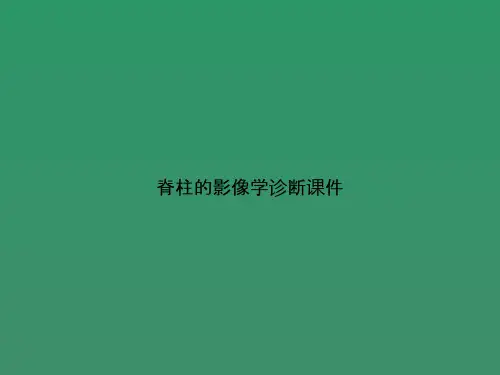 脊柱的影像学诊断