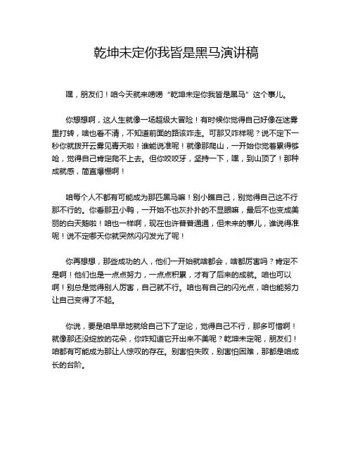 乾坤未定你我皆是黑马演讲稿