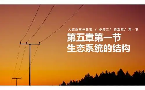 人教版高中生物必修3-稳态与环境：生态系统的结构(4)