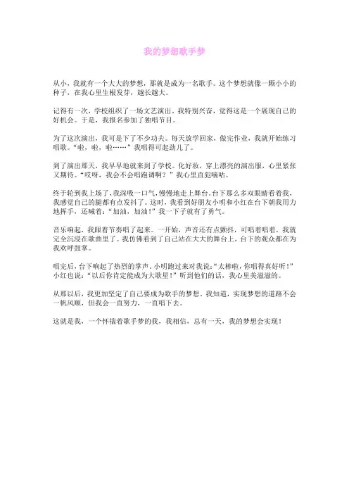 我的梦想歌手梦
