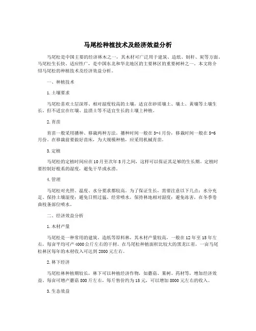 马尾松种植技术及经济效益分析