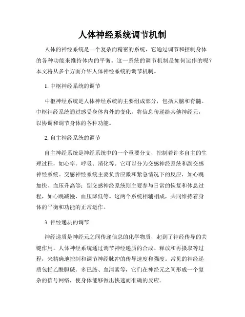 人体神经系统调节机制