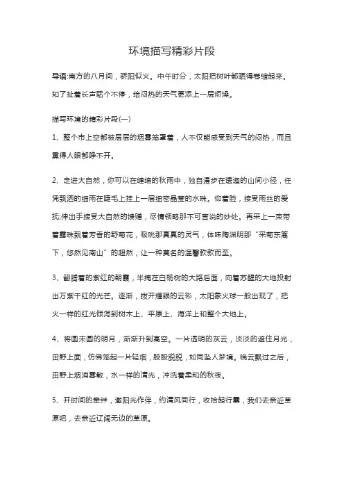 环境描写精彩片段