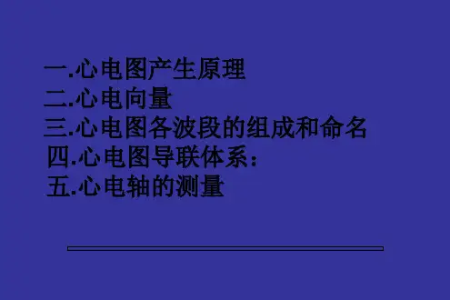 正常心电图完整