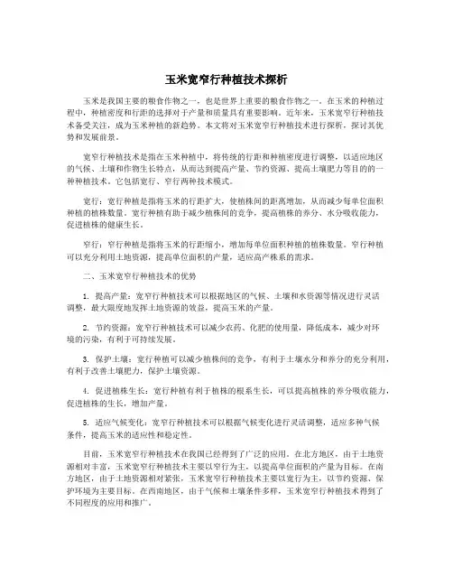 玉米宽窄行种植技术探析