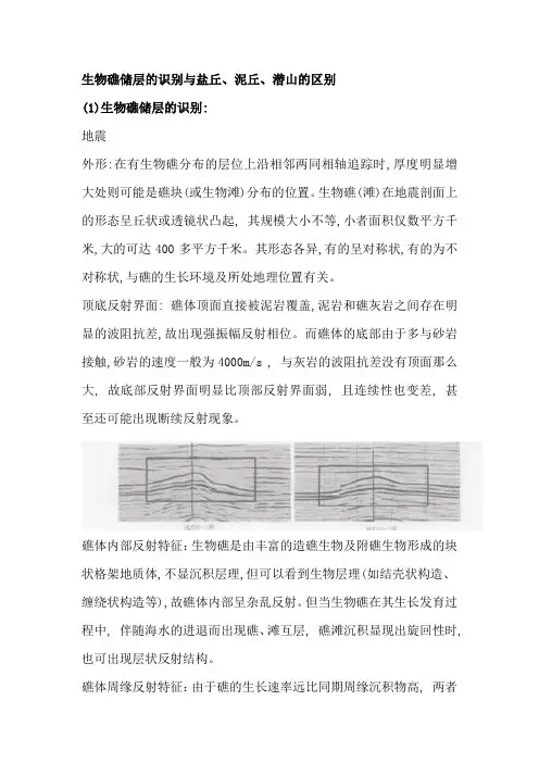 生物礁储层的识别与盐丘、泥丘、潜山的区别