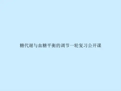 糖代谢与血糖平衡的调节一轮复习公开课