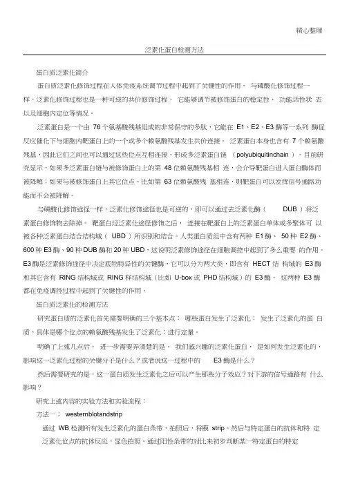 (完整版)泛素化蛋白检测办法