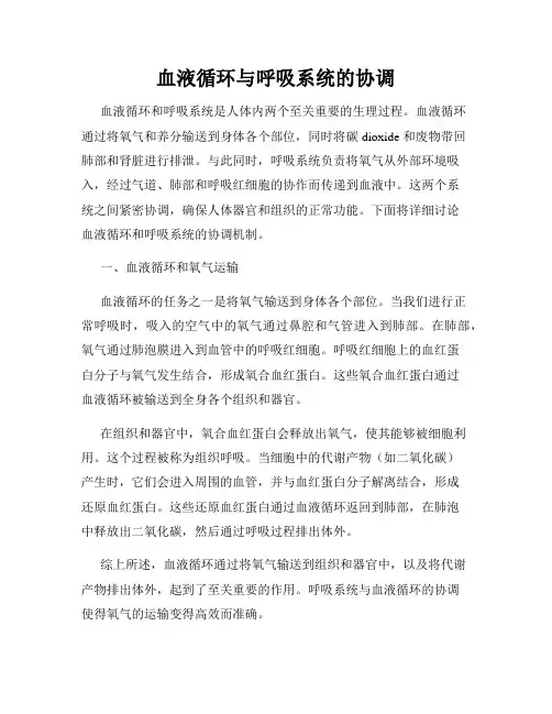 血液循环与呼吸系统的协调