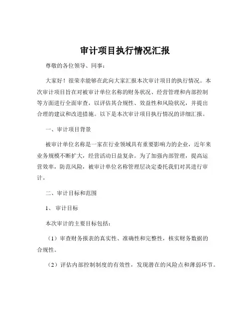 审计项目执行情况汇报