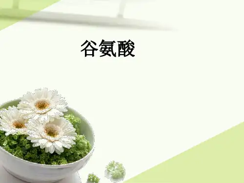谷氨酸