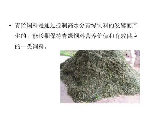 青贮饲料ppt课件
