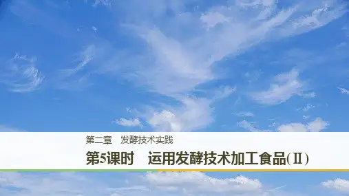 高中生物第二章发酵技术实践第5课时运用发酵技术加工食品Ⅱ同步备课课件苏教版选修