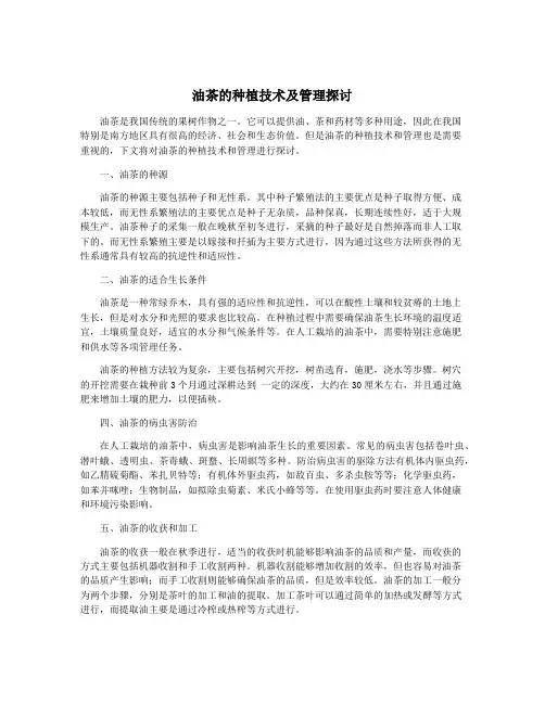 油茶的种植技术及管理探讨