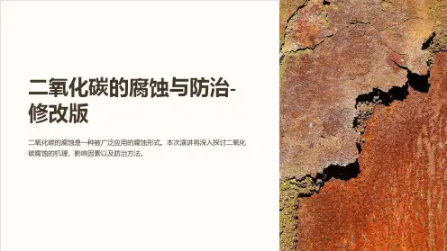 二氧化碳的腐蚀与防治-修改版