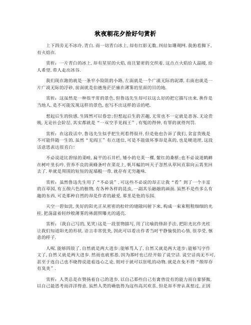 秋夜朝花夕拾好句赏析