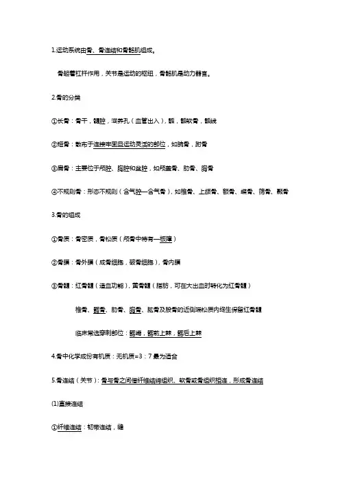 人体解剖学运动系统知识点