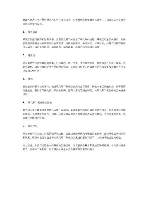 简述肺通气过程