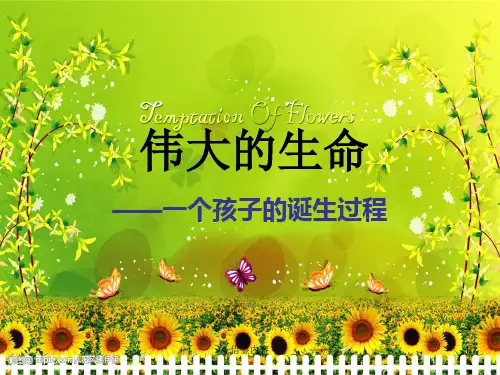 伟大的生命——一个孩子的诞生过程ppt[知识荟萃]