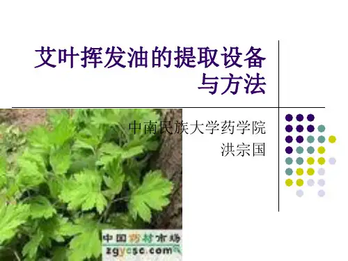 艾叶挥发油的提取