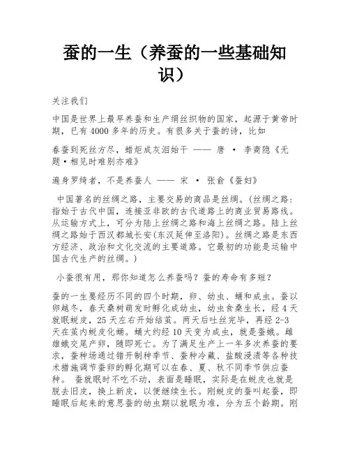 蚕的一生(养蚕的一些基础知识)