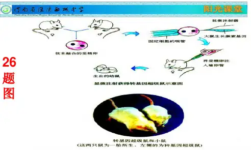 八年级下册生物第二章检测题答案