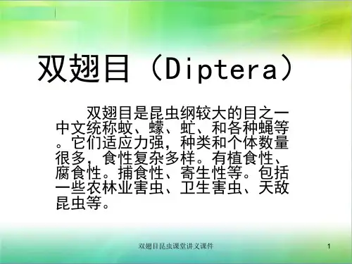 双翅目昆虫课堂讲义课件